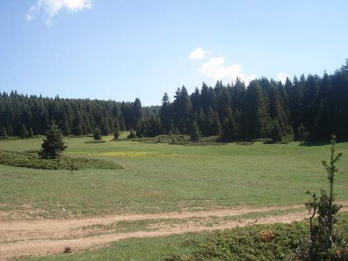 gerede-yaylalari