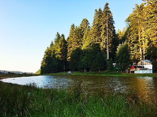 purenli-yaylasi