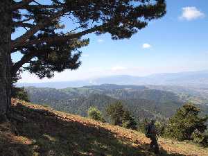 osmancik-baspinar-karaca-yaylasi