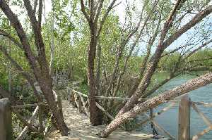 kovada-golu-milli-parki