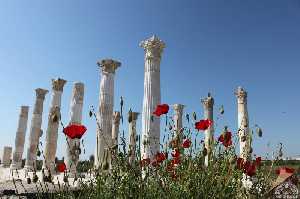 soli-pompeipolis