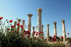 soli-pompeipolis