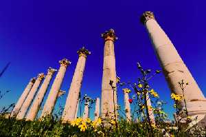 soli-pompeipolis