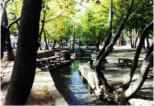 karaeksi