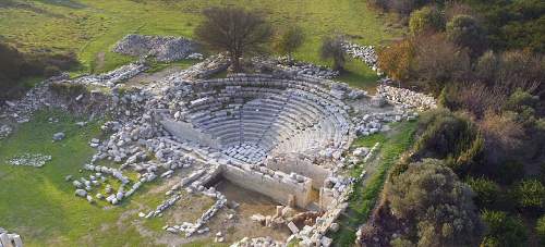 teos-orenyeri