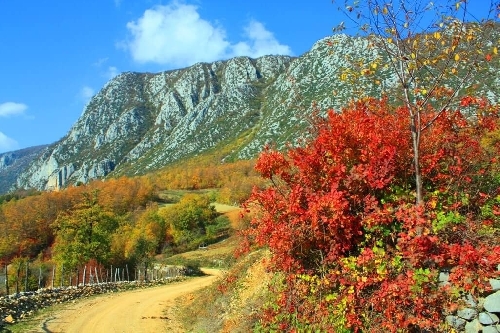 kure-daglari-milli-parki