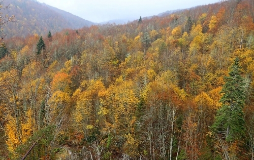 kure-daglari-milli-parki