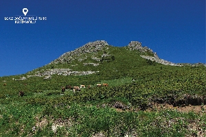 ilgaz-dagi-milli-parki
