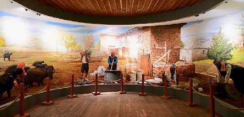 dondurma-muzesi