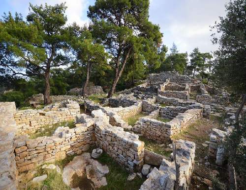 pedasa