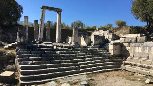 pedasa