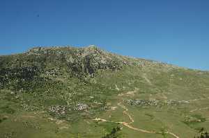 yesilce