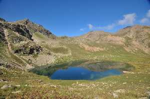 cermesk-golu