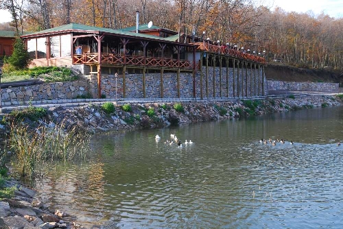sakligol