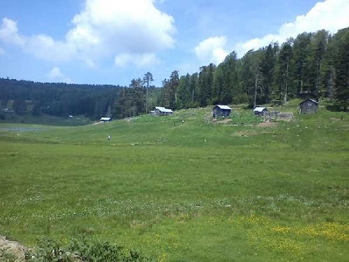 turnali-yaylasi