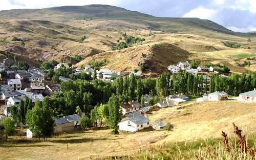 imranli-koyunkaya-mesiresi