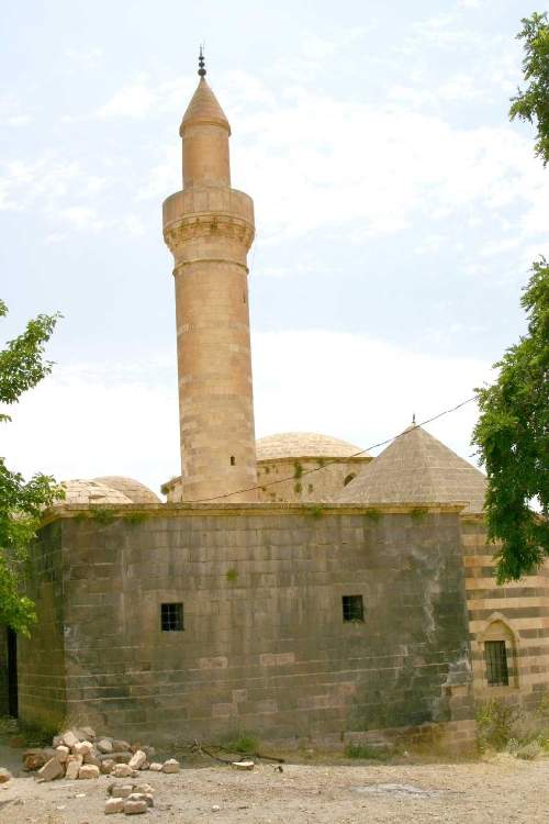 sagman-cami
