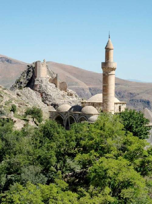 sagman-cami