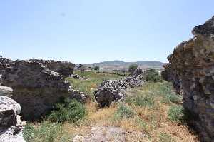 cekereksu-hani