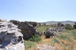 cekereksu-hani