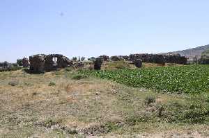 cekereksu-hani
