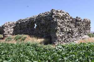 cekereksu-hani