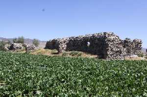 cekereksu-hani