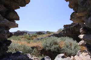 cekereksu-hani