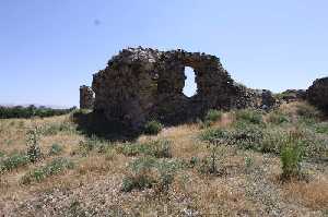 cekereksu-hani