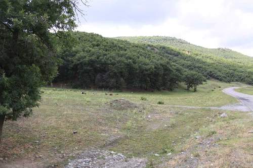 bozok-yaylasi