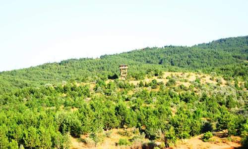 camlik-milli-parki