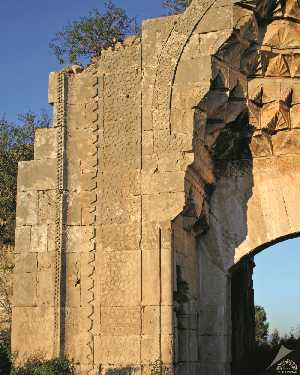 evdir-han