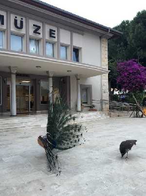 alanya-arkeoloji-muzesi
