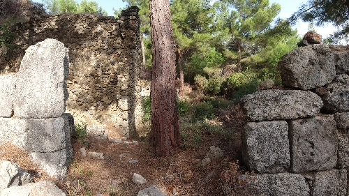 syedra-sedre