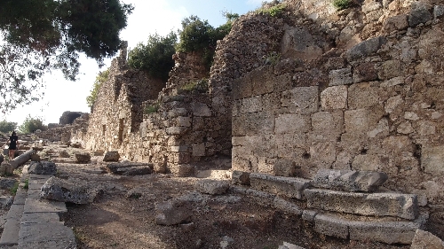 syedra-sedre