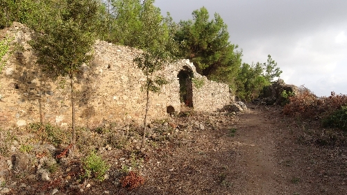 syedra-sedre