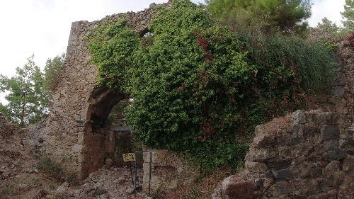 syedra-sedre