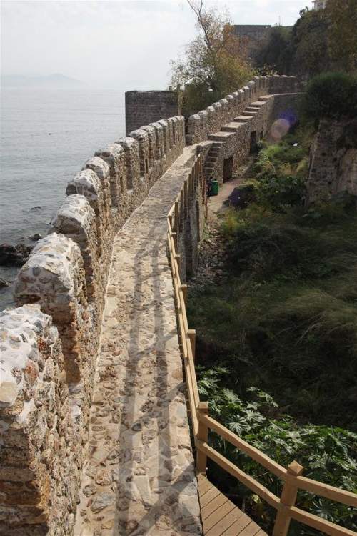 liman-surlari