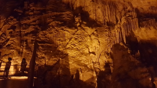 dim-magarasi