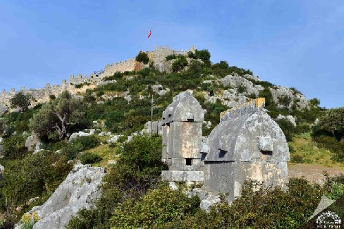 simena