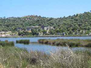andriake