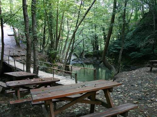 yalova-kent-ormani