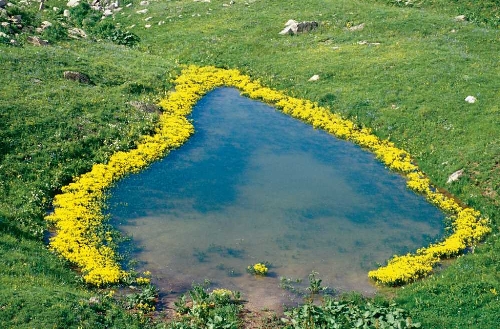 arsiyan-yaylasi-ve-golleri