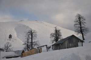 karduz-yaylasi