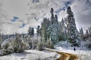 karduz-yaylasi