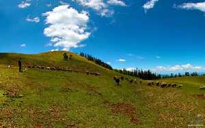 karduz-yaylasi