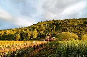 efteni-golu