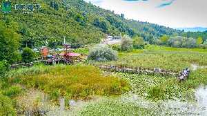 efteni-golu