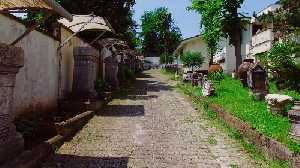 duzce-konuralp-muzesi