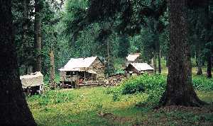 sinekli-yaylasi